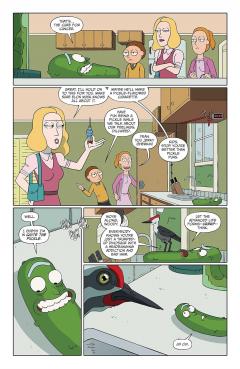 Rick and Morty Oni Compact Comics Edition