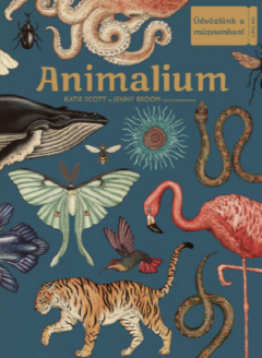 Animalium