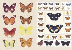 The Curious Collections Sticker Book