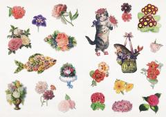 The Curious Collections Sticker Book