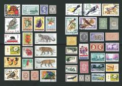 The Curious Collections Sticker Book