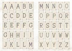 The Curious Collections Sticker Book