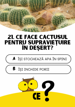 Joc educativ - Cine? Ce? Cum?