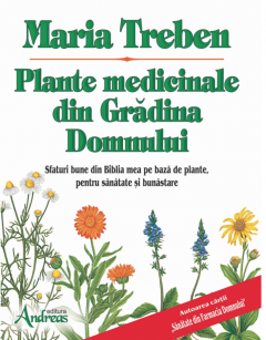 Plante medicinale din Gradina Domnului
