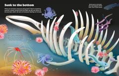 Big Sticker Book Weird Deep Sea Creatures