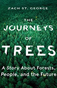 Journeys of Trees