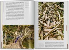 Lo-TEK. Design by Radical Indigenism