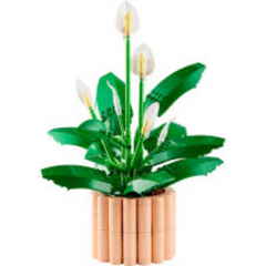 LEGO Botanicals - Crinul Pacii (11504)