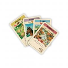 Joc de carti - Catan