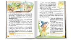 Teste pentru Evaluarea Nationala - Clasa a IV-a