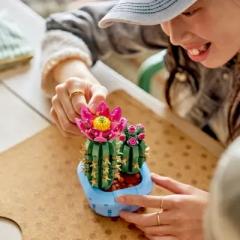 LEGO Botanicals - Cactus inflorit (11509)