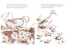 Make Way for Ducklings