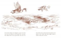 Make Way for Ducklings