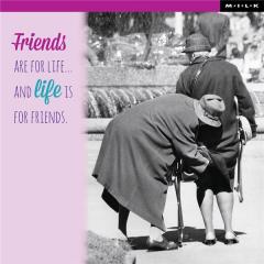 Felicitare Friends Are For Life Milk