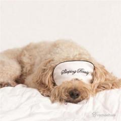 Felicitare Puppy With Eye Mask Cute