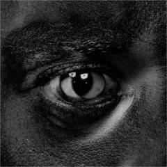 Evolve or Be Extinct