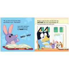 Bluey Big Fun Box Books