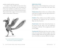 Stuff Every Bird Lover Should Know
