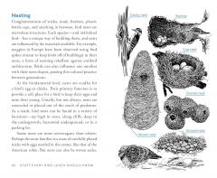 Stuff Every Bird Lover Should Know