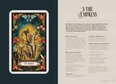 The Light in the Dark Tarot & Oracle (Cards)