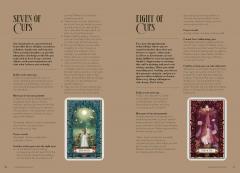 The Light in the Dark Tarot & Oracle (Cards)