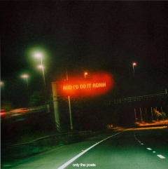 And I'd Do It Again - Vinyl