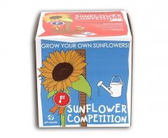 Sow And Grow Sunflower Competition