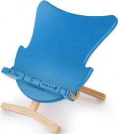 Blue Bookchair