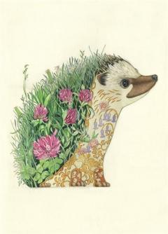 Felicitare - Hedgehog The DM Collection
