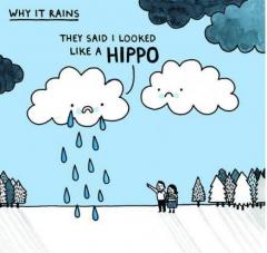 Felicitare Why It Rains