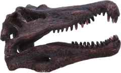Obiect decorativ - Spinosaurus Skull