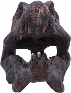 Obiect decorativ - Spinosaurus Skull