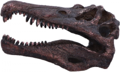 Obiect decorativ - Spinosaurus Skull