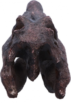 Obiect decorativ - Spinosaurus Skull