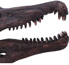 Obiect decorativ - Spinosaurus Skull