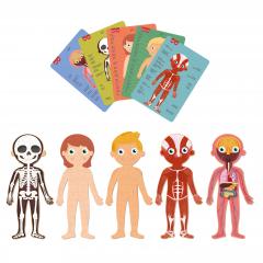 Puzzle educativ - Human Body
