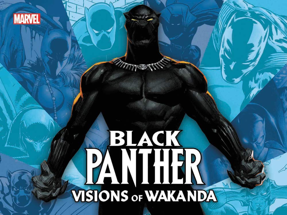 Black Panther: Visions Of Wakanda
