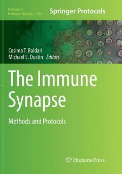 Immune Synapse