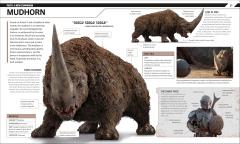 Star Wars: The Mandalorian Visual Guide