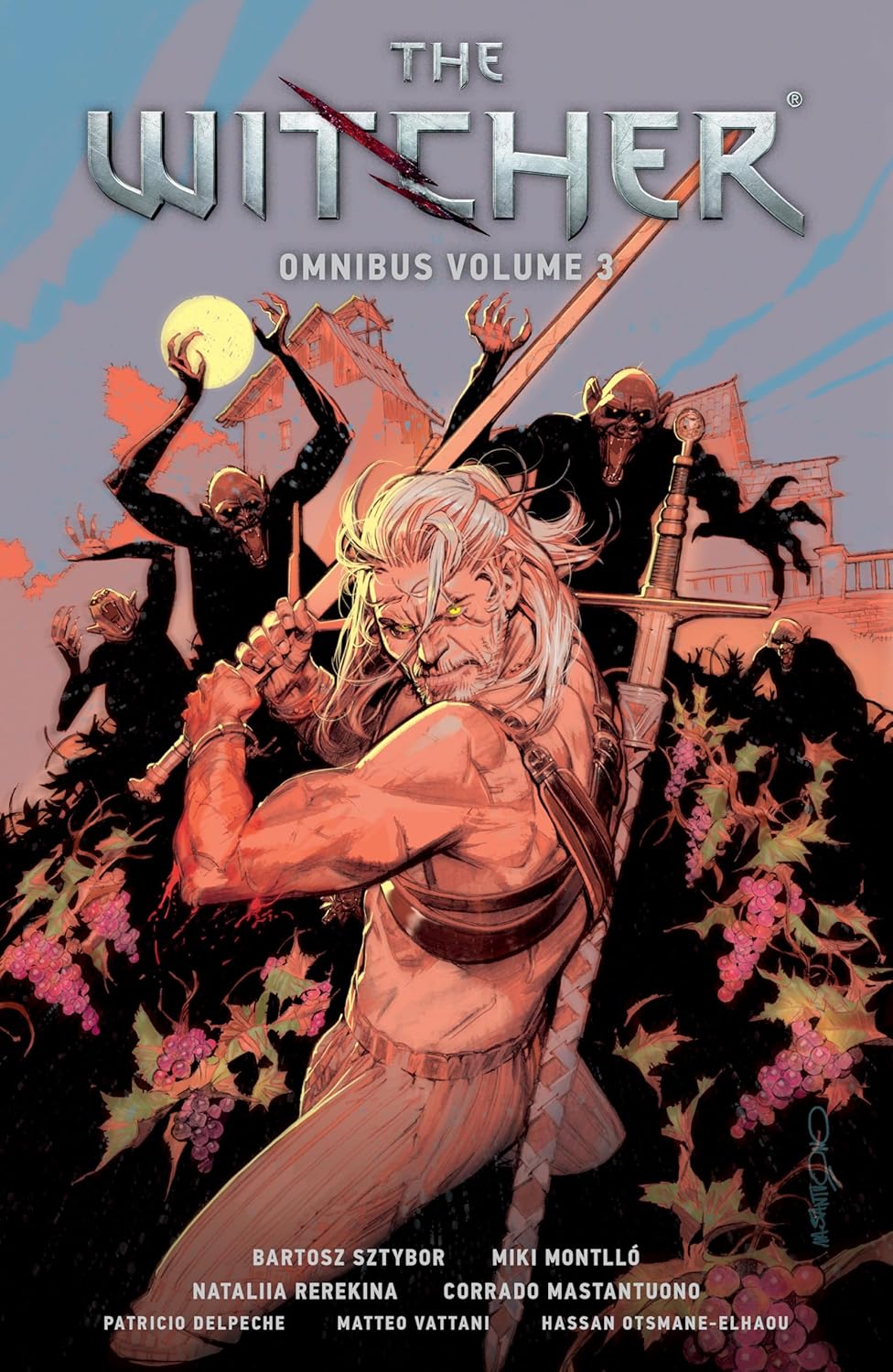 The Witcher Omnibus - Volume 3
