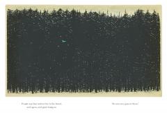 On the Other Side of the Forest