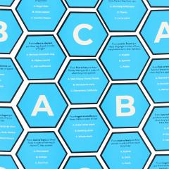 Joc trivia - Hexagon Family - Best Guess