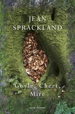 Goyle, Chert, Mire