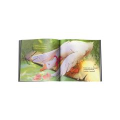 Povestea gastelor. Vine ploaia