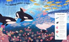 Ocean Explorer - A Search-and-Find Book