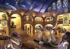 Puzzle - Museum Mysteries, 368 piese