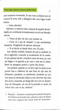 Intre viata, moarte si ceea ce ramane dupa