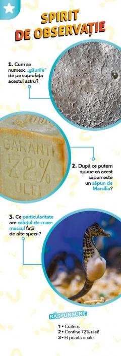 Cine? si Cum?