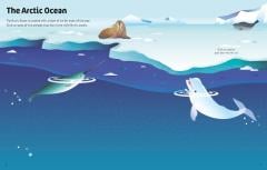First Sticker Book Ocean Animals