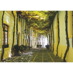 Puzzle - Andalusian Street, 1000 piese